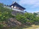 感応寺　石垣