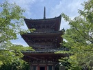 宝積寺　三重塔…