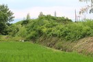 永原御殿（永原城）本丸南の土塁…