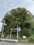 城趾遠景