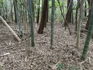 城跡(上段)