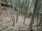 竪堀？