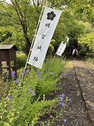 明智長山城・明智城跡幟と沿道の桔梗…