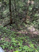 明智長山城・水の手跡…