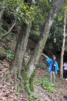 竪堀跡