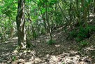 腰郭（主郭北）…