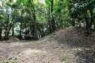 主郭（西から）