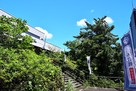 登城口