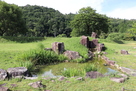 庭園