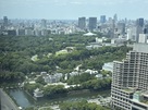 丸ビルの35階から見た東御苑(江戸城跡)…