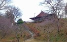 菅沼本家の城