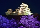 姫路城さくら祭りを楽しむ…