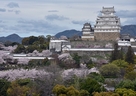 さくらの頃白鷺城遠景…