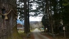 馬場跡の桜並木…