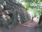 唐沢山神社石垣…