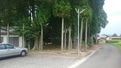 勝手神社の裏にある駐車場…