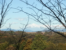 東の曲輪からの眺望（富士山）…