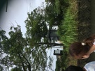 水堀から見る田中吉政公像…