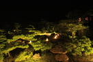 高松城 飛雲閣庭園ライトアップ…
