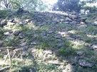 井戸曲輪跡の石垣