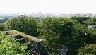 天守台から見た福岡城下！…