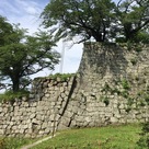 竹之丸東面の石垣…