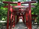 烏森稲荷神社の鳥居…