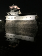 夜の富山城