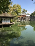 西の丸庭園 鳶魚閣と御橋廊下…