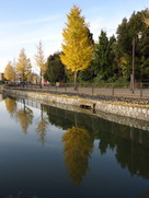 秋の水城公園