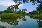 城址風景