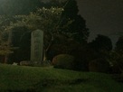 夜の祇園城