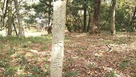 太閤ケ平石碑