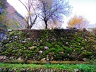 鶴首城  陣屋の裏側の石垣…