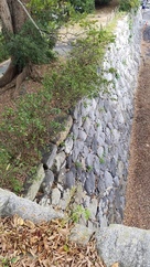 石垣(南側)
