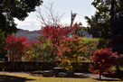 武田神社　紅葉と富士山…