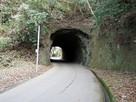 岡城へ入る道の手掘りトンネル…