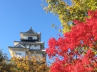 紅葉と掛川城