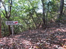 徳倉城跡搦手登山道…