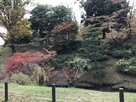 堀と紅葉