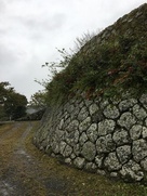 西の丸石垣