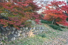 紅葉と残る石垣…