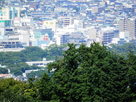 展望台からズームで小田原城を見たところ…