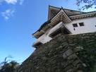 和歌山城 丸みのある石落し…
