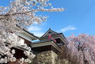 北櫓と桜
