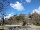 丸亀城　駅と反対側の搦手口から見る…