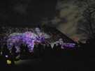 福岡城　チームラボ　城跡　光の祭…
