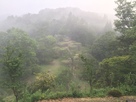 朝霧の苗木城跡…