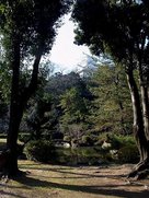 姫山公園から見た天守…