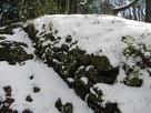 雪に覆われた石垣…